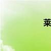 莱玫 关于莱玫的介绍