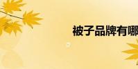 被子品牌有哪些