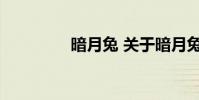 暗月兔 关于暗月兔的介绍