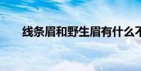 线条眉和野生眉有什么不一样 线条眉