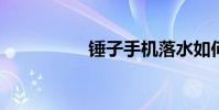 锤子手机落水如何处理