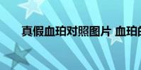 真假血珀对照图片 血珀的鉴定和价格
