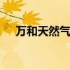 万和天然气灶怎么样 万和燃气灶怎么样
