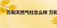 万和天然气灶怎么样 万和燃气灶怎么样