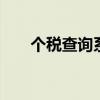 个税查询系统官方网站 个税查询系统