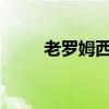 老罗姆西郡办公室是个辛辣的提议