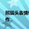 熊猫头表情包制作视频教程 熊猫头表情包制作