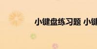 小键盘练习题 小键盘练习