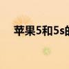 苹果5和5s的区别外观 苹果5和5s的区别