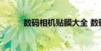 数码相机贴膜大全 数码相机贴膜