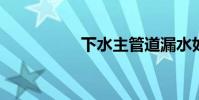 下水主管道漏水如何修