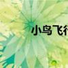 小鸟飞行的样子怎么写 小鸟飞行