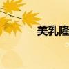 美乳隆胸 关于美乳隆胸的介绍