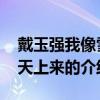 戴玉强我像雪花天上来 关于戴玉强我像雪花天上来的介绍