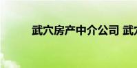 武穴房产中介公司 武穴房产中介