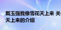 戴玉强我像雪花天上来 关于戴玉强我像雪花天上来的介绍
