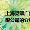 上海灵狮广告有限公司 关于上海灵狮广告有限公司的介绍