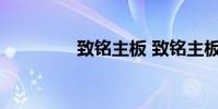 致铭主板 致铭主板怎么样