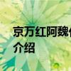 京万红阿魏化痞膏 关于京万红阿魏化痞膏的介绍