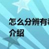 怎么分辨有毒西瓜 关于怎么分辨有毒西瓜的介绍