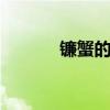 镰蟹的钳 关于镰蟹的钳的介绍