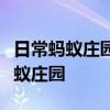 日常蚂蚁庄园答题：欲穷千里目更上一层楼蚂蚁庄园