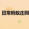 日常蚂蚁庄园答题：小鸡宝宝今天的答案7.1