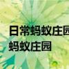 日常蚂蚁庄园答题：下雨天很多人听见雨声后蚂蚁庄园