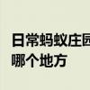日常蚂蚁庄园答题：欲穷千里目更上一层楼是哪个地方