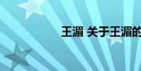 王湄 关于王湄的介绍