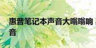 惠普笔记本声音大嗡嗡响 惠普笔记本没有声音