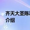 齐天大圣陈浩民版 关于齐天大圣陈浩民版的介绍