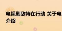 电视剧敌特在行动 关于电视剧敌特在行动的介绍