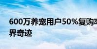 600万养宠用户50%复购率 凯锐思创宠粮业界奇迹
