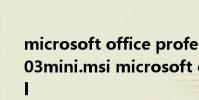microsoft office professional edition 2003mini.msi microsoft office professional