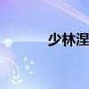少林涅盘 关于少林涅盘的介绍