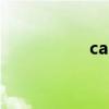 cas9 关于cas9的介绍