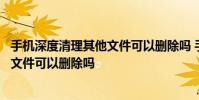 手机深度清理其他文件可以删除吗 手机深度清理里面的其他文件可以删除吗