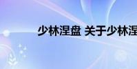 少林涅盘 关于少林涅盘的介绍