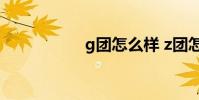 g团怎么样 z团怎么样