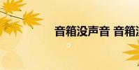 音箱没声音 音箱没声音