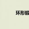 环形锻件 关于环形锻件的介绍
