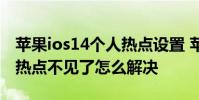 苹果ios14个人热点设置 苹果ios14系统个人热点不见了怎么解决