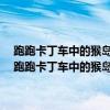 跑跑卡丁车中的猴岛是什么意思 猴岛论坛跑跑卡丁车版块谁人品最好 跑跑卡丁车中的猴岛是什么意思 跑跑卡丁车猴岛游戏论坛有什么好的