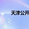 天津公开赛 关于天津公开赛的介绍