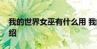 我的世界女巫有什么用 我的世界女巫作用介绍