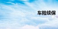 车险续保