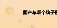 国产车哪个牌子质量好