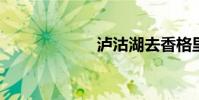 泸沽湖去香格里拉