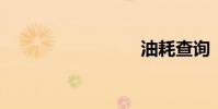 油耗查询